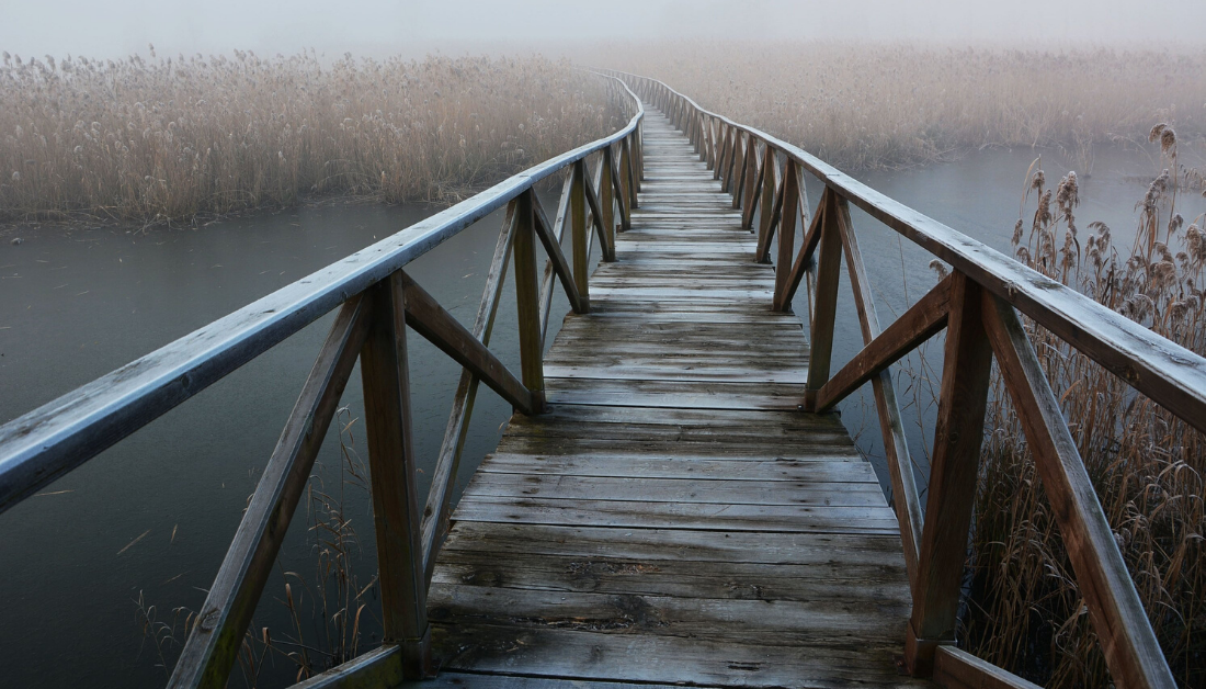 bridge into mist