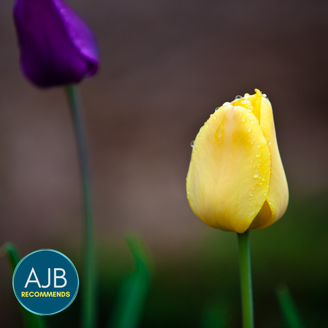 Read more about the article AJB Recommends: Resources for Hope