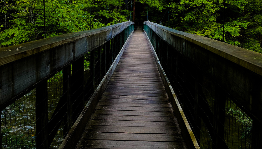 bridge in woods