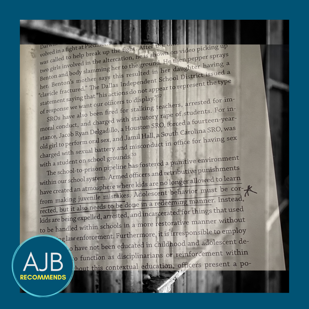 Read more about the article AJB Recommends: Resource to Learn More About Prison Reform