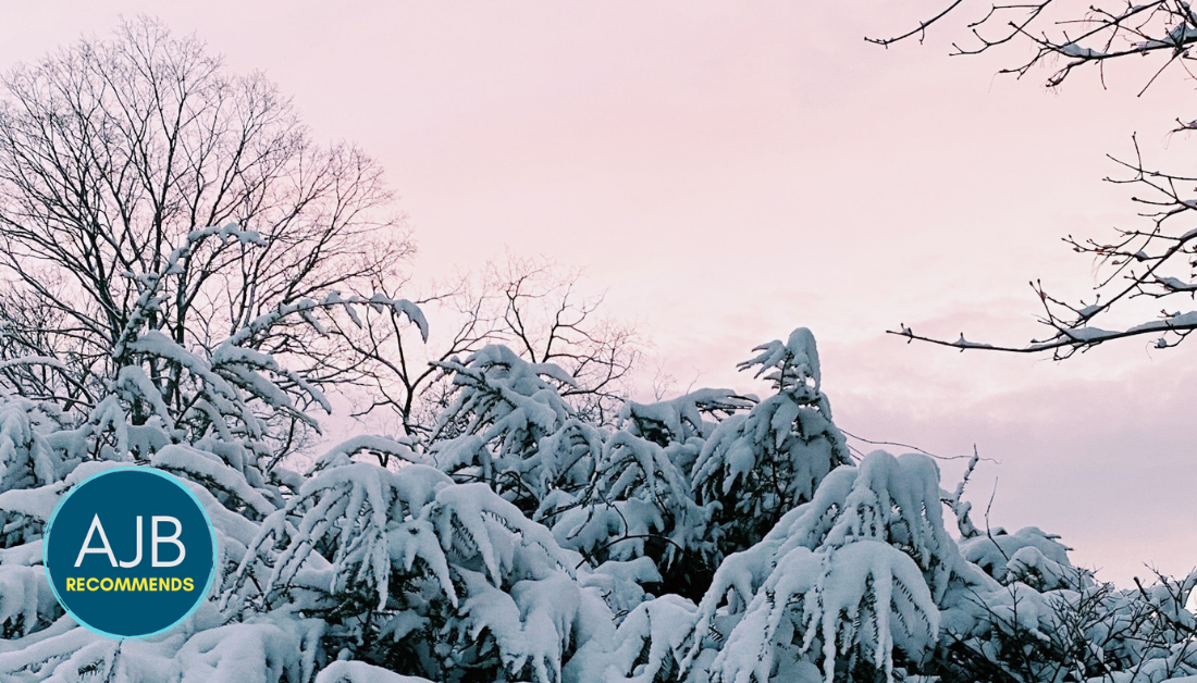 picture of pink sunset and snowy bushes with the AJB Recommends logo