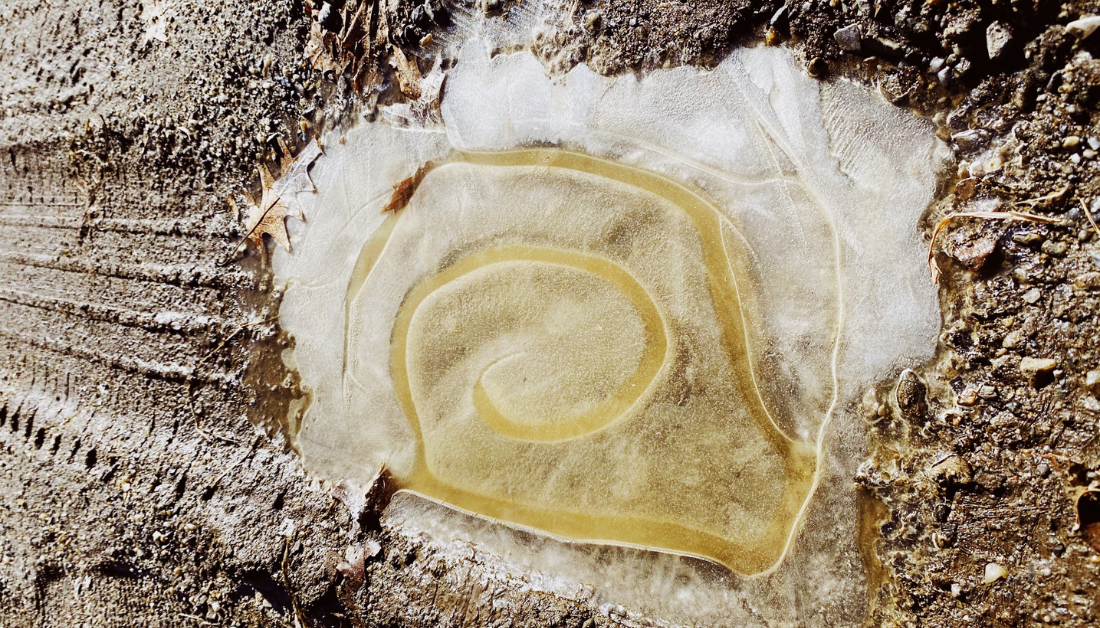 picture of a tire tracks going through a mud road and frozen mud puddle with an intricate pattern in the ice