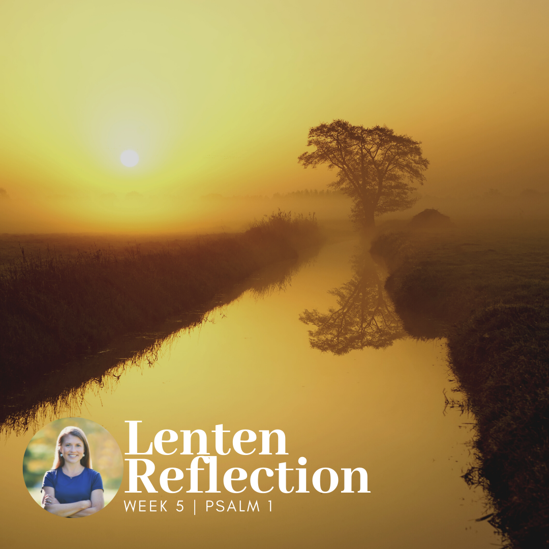 Read more about the article Lenten Reflection | Psalm 1