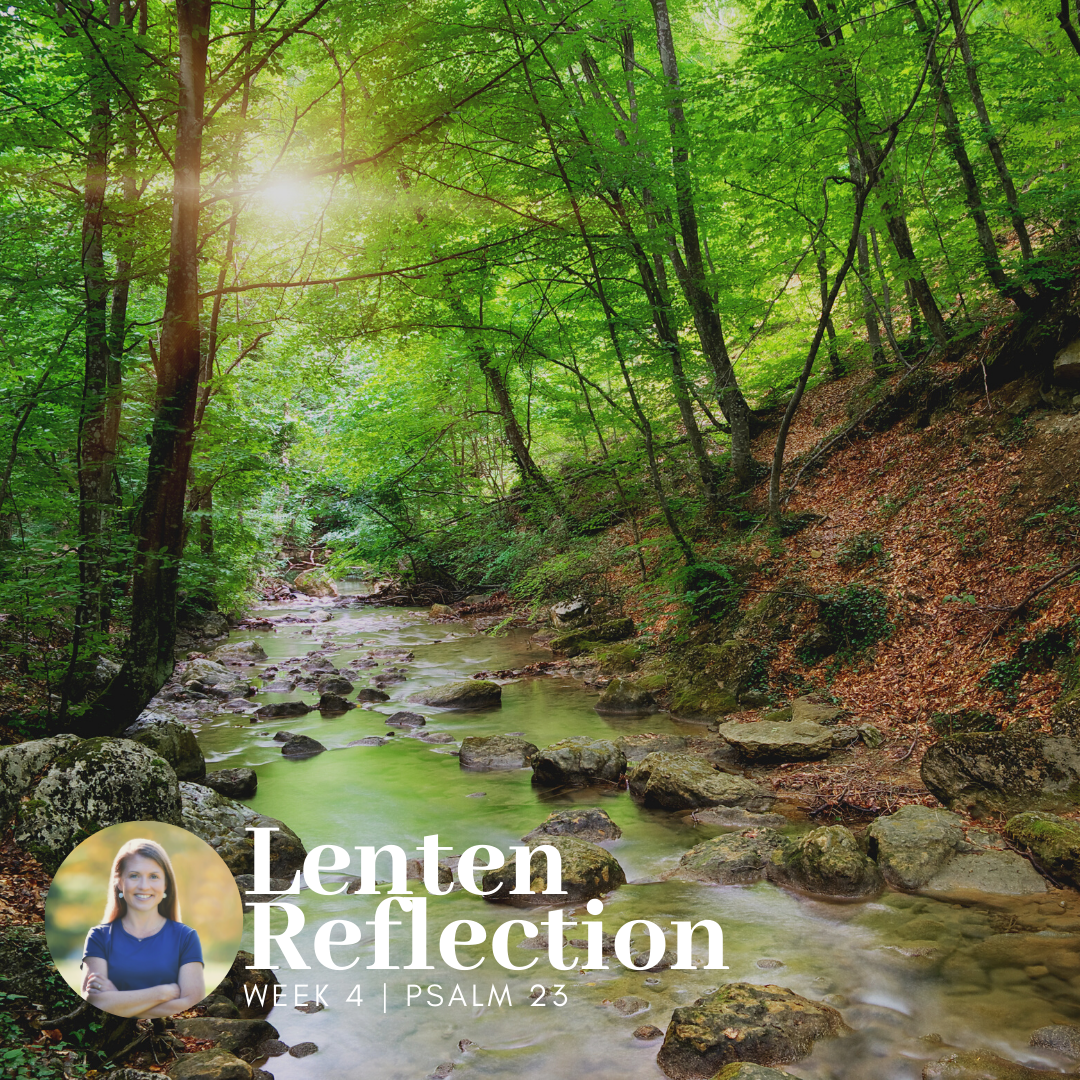 Read more about the article Lenten Reflection | Psalm 23