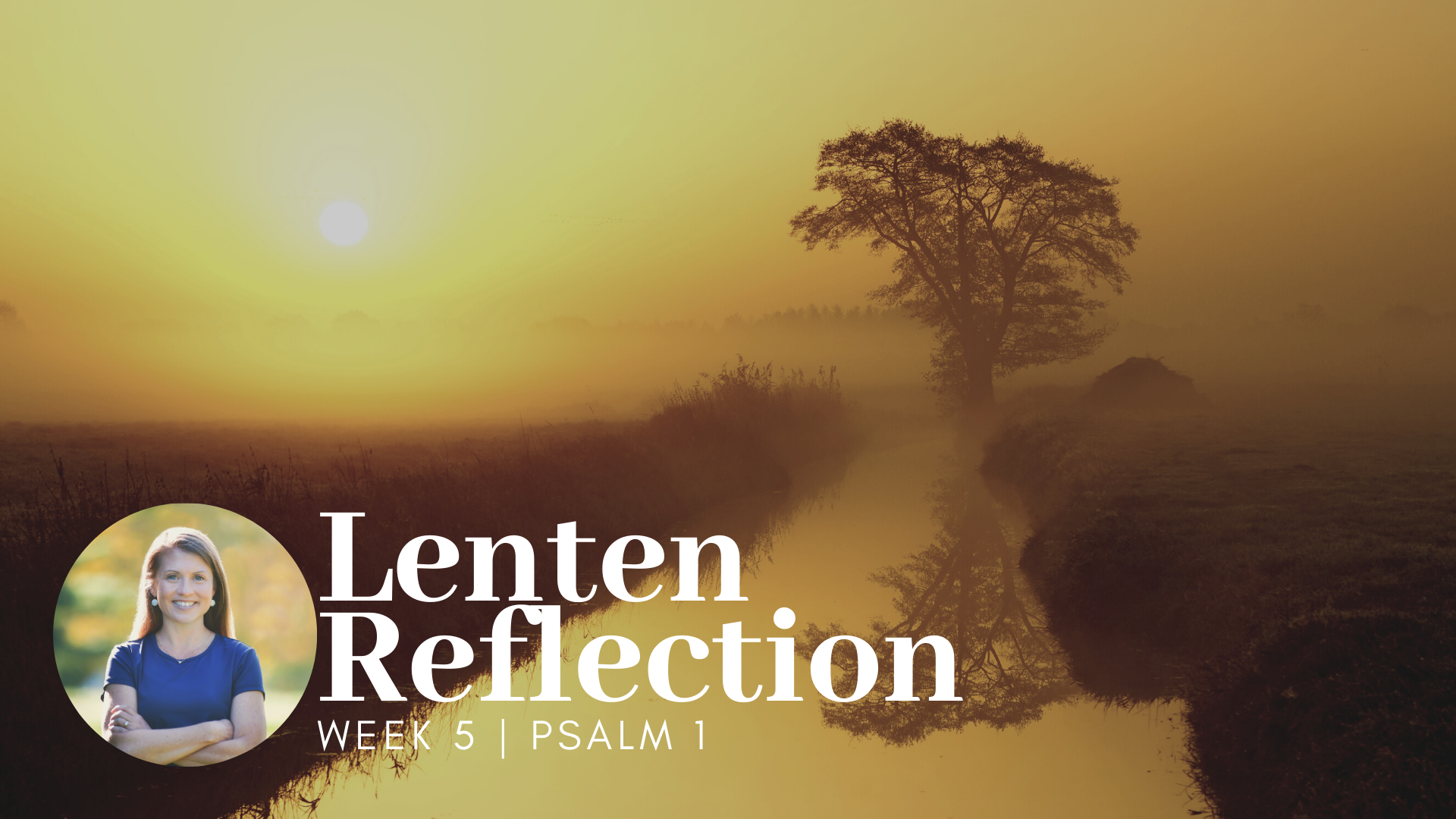 text overlay that says Lenten Reflection Psalm 1 over a picture of a sunset with a tree by a stream of water