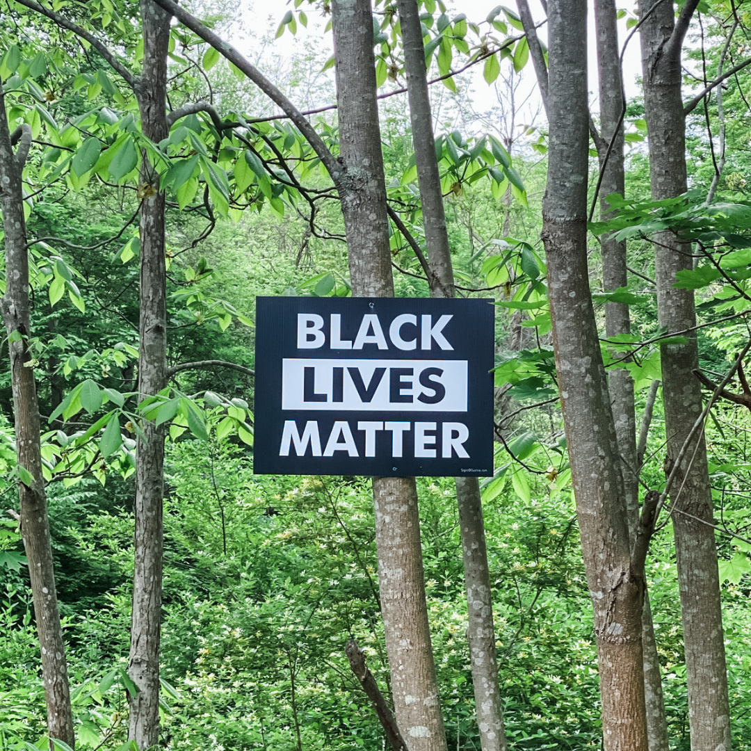 Read more about the article Black Lives Matter: Did We Mean It?
