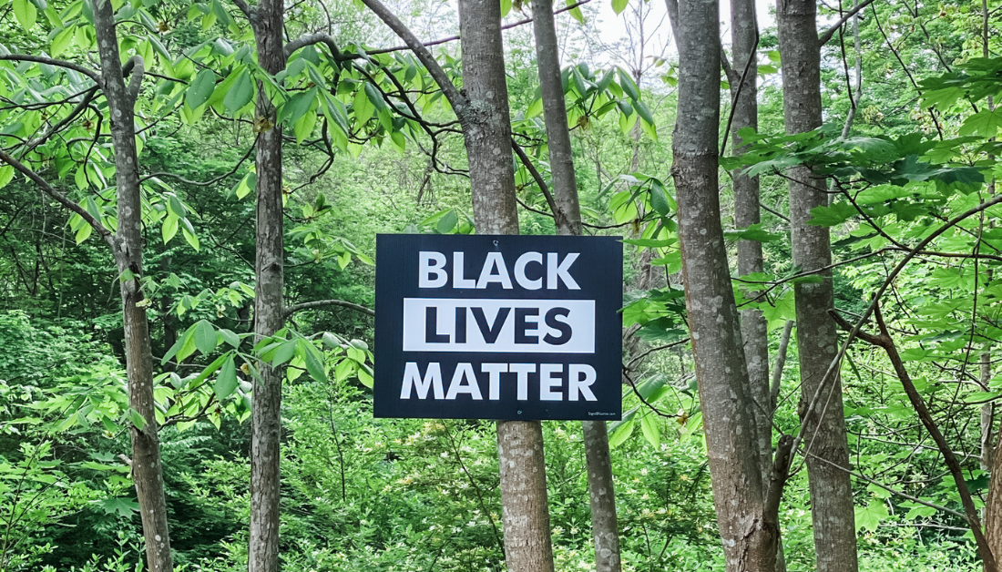 tree in a forest with a sign nailed to it that says Black Lives Matter