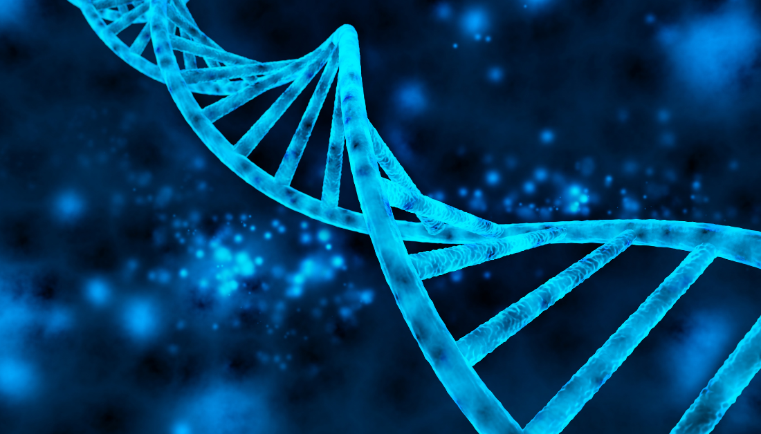 dark blue double helix of DNA