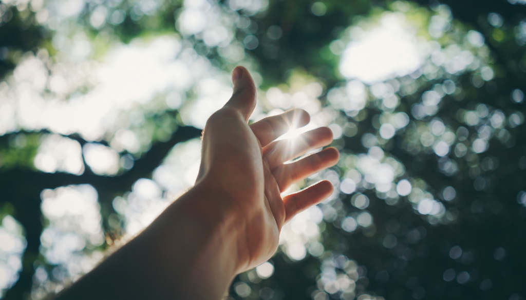 open hand reaching towards sunlight filtered through trees