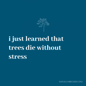 blue graphic with white text that says I just learned that trees die without stress