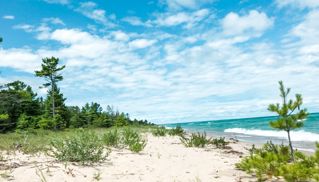 sandy beach with scrubby trees and brush with blue sky and lake in the background