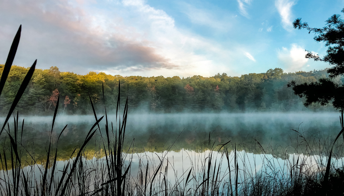 mist rising off of a lake with grasses in the foreground and autumn trees and a morning sky in the background