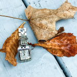 a silver watch on wooden slats and surrounded by autumn leaves