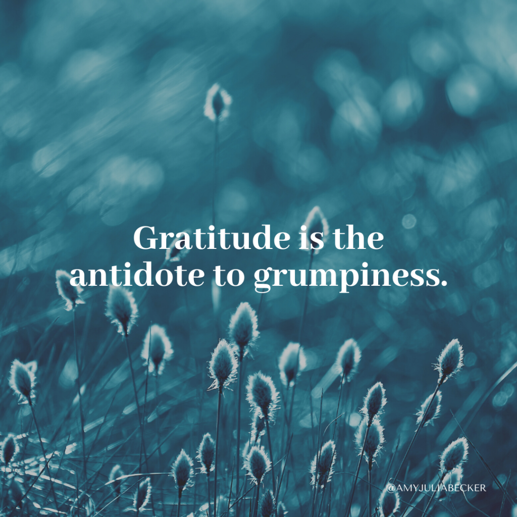 dark blue autumn grasses with text overlay from the series on gratitude