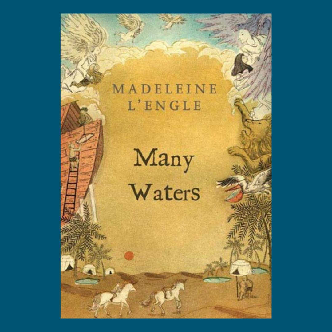 blue graphic with the book cover of Many Waters