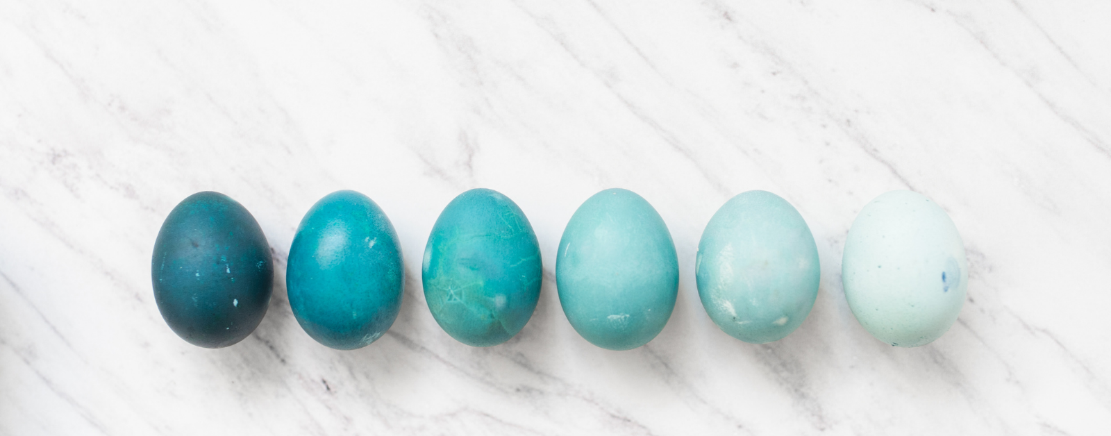 blue eggs on a white counter
