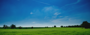 Panoramic Photography of Green Field and dark blue sky
