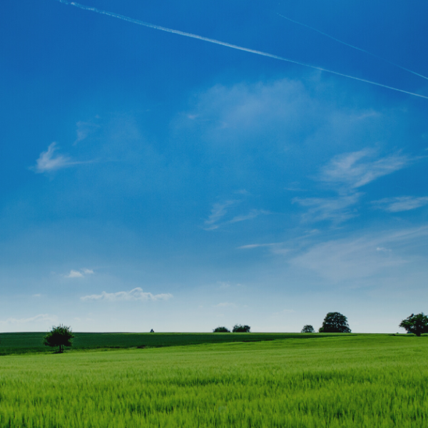 Panoramic Photography of Green Field and dark blue sky