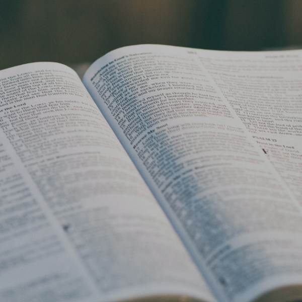 open Bible on a rock