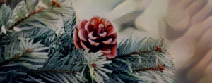 pine cone on a pine tree with painting overlay