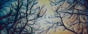 painted overlay on picture of geese flying through bare tree branches