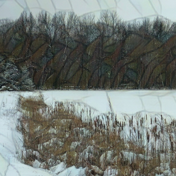 mosaic filter over a photo of tall grasses sticking out of snow and snow-covered trees in the background