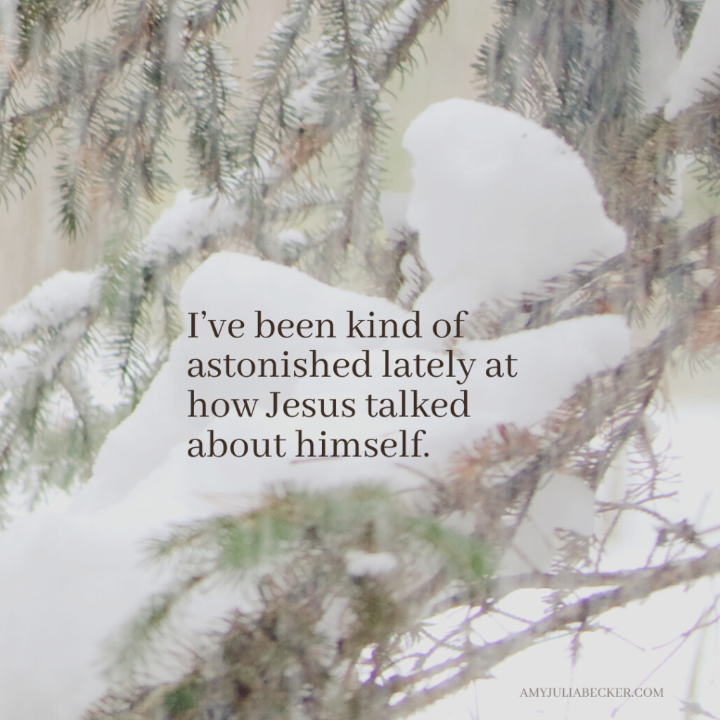photo of spruce branches covered in snow with text overlay that says: I've been kind of astonished lately at how Jesus talked about himself.