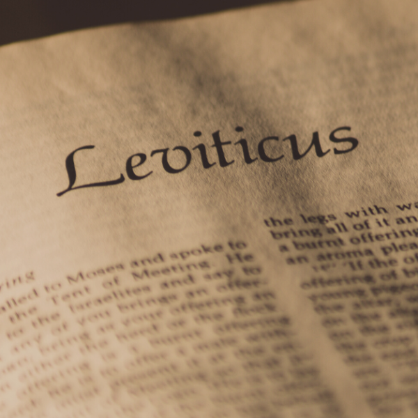 photo of a Bible open to the first page of Leviticus