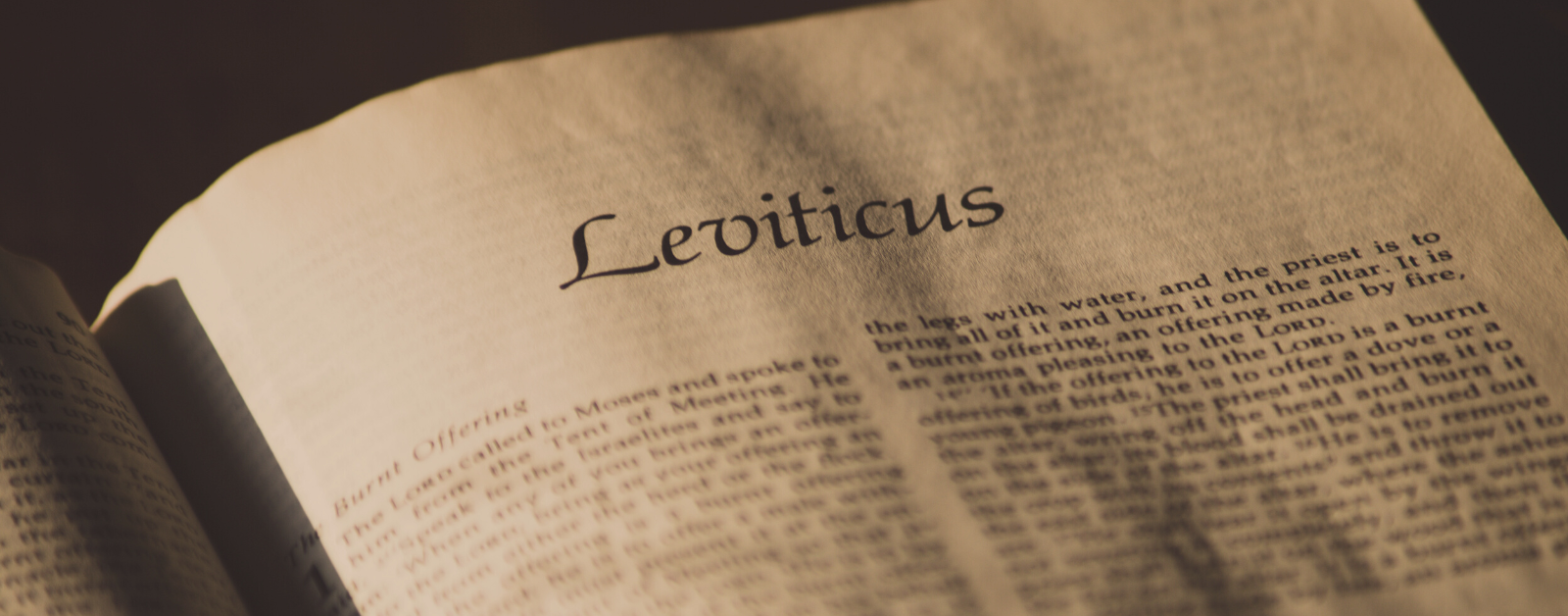 Read more about the article Are People With Disabilities “Less Than” in Leviticus?