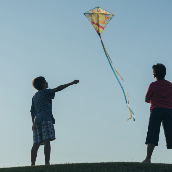 two boys stand on a hill flying a kite