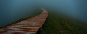 dark photo of a wooden path winding through mist next to water