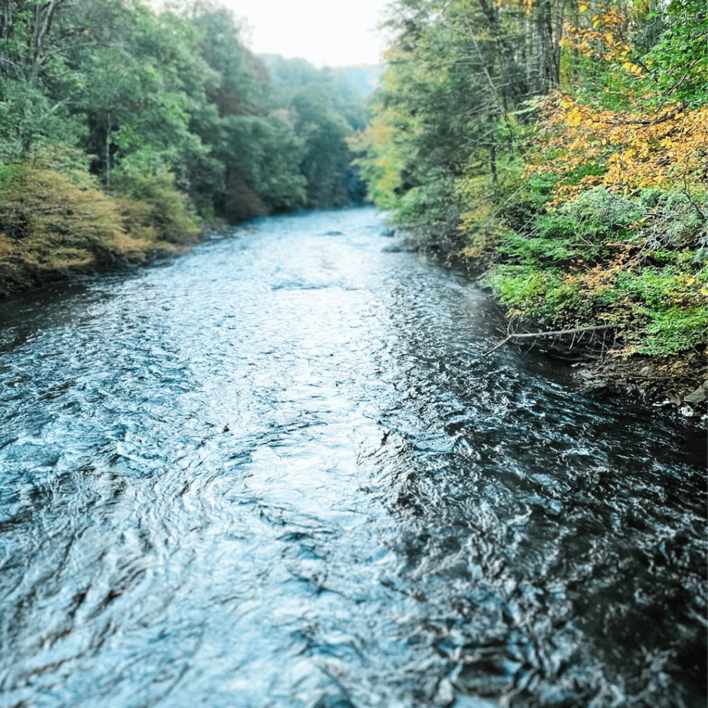 full, fast-flowing river lined by trees just starting to change colors
