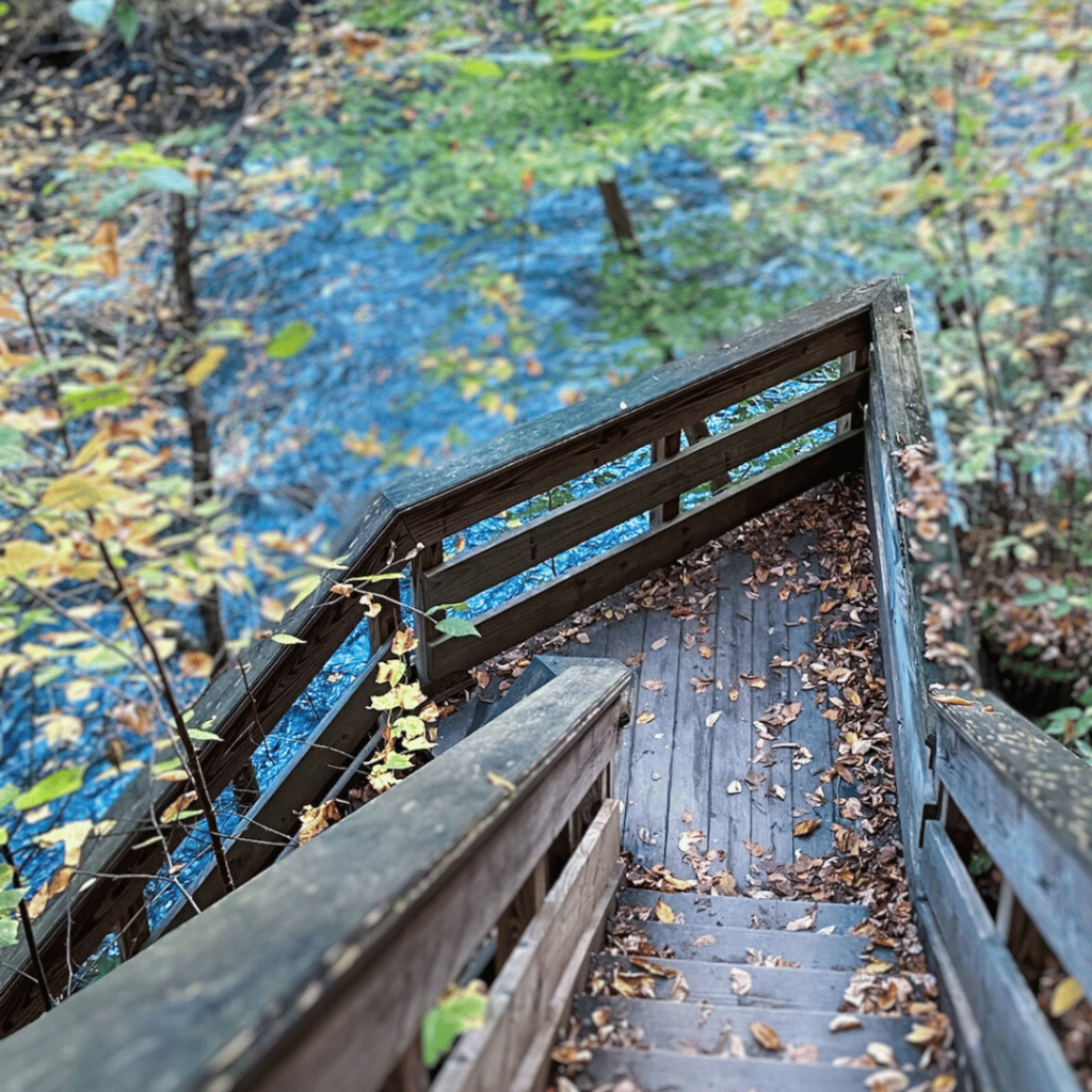wooden path and stairs leading down to a river