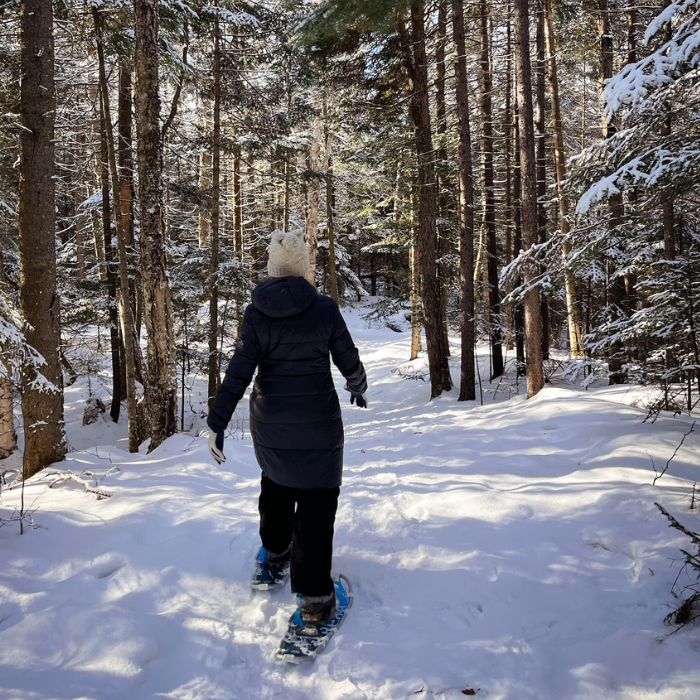 a person snowshoes away from the camera on a path through the forest