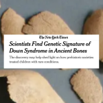 a graphic with a screenshot of a NYT essay titled “Scientists find genetic signature of Down syndrome in ancient bones.” The essay also includes a photo of human bones arranged on a blue background.