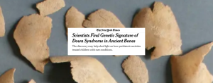 a graphic with a screenshot of a NYT essay titled “Scientists find genetic signature of Down syndrome in ancient bones.” The essay also includes a photo of human bones arranged on a blue background.