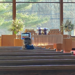 a photo of a young girl sitting in a church pew looking at the large glass windows at the front of the church