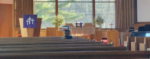 a photo of a young girl sitting in a church pew looking at the large glass windows at the front of the church