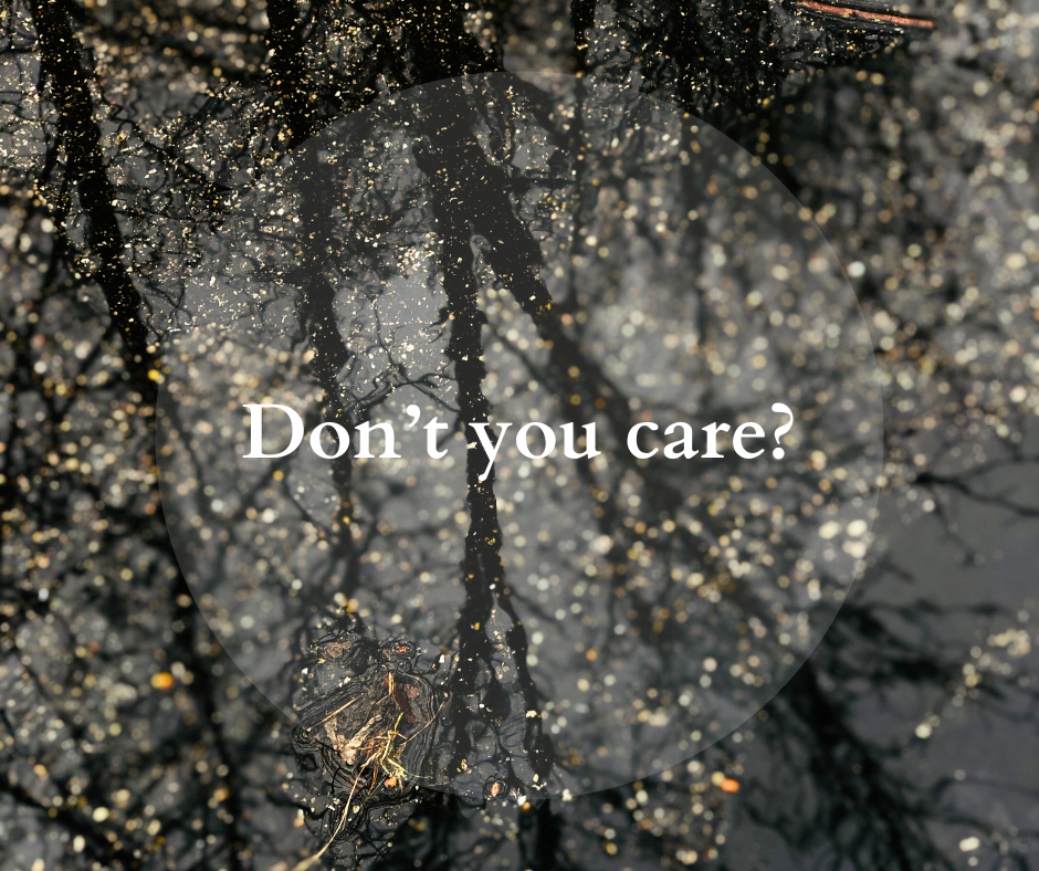 photo of bare tree branches reflected in a dark puddle of water with a circle in the middle and text in the circle that says Don't You Care?