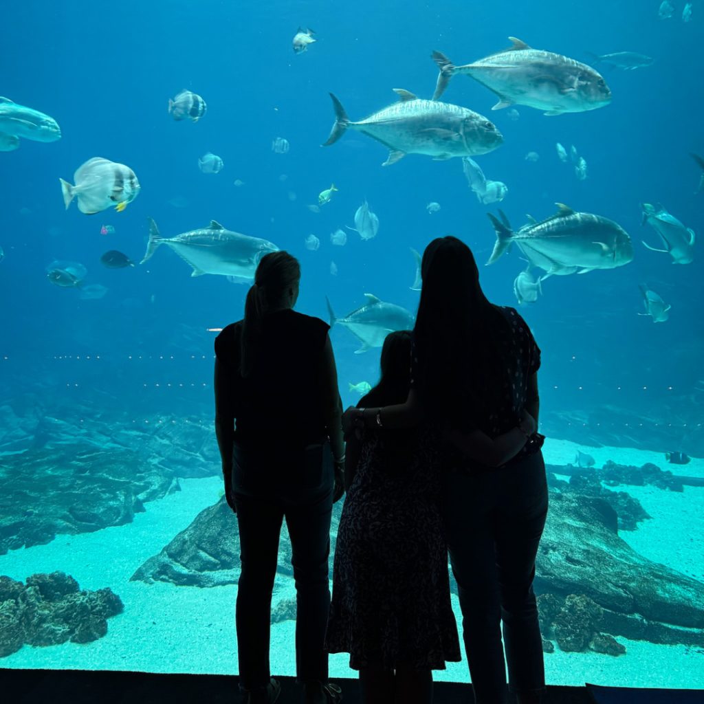 Penny stands in between two Hope Heals friends. They are silhouetted against an aquarium filled with blue water and fish