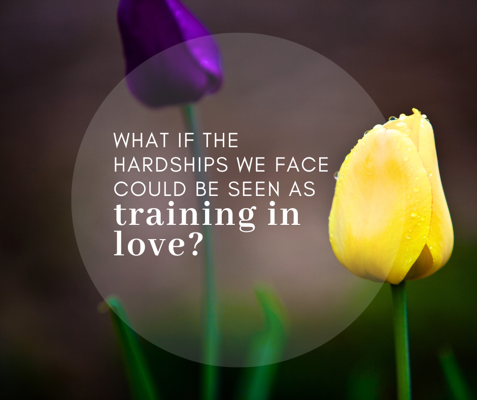 dark-tinted photo of a purple and a yellow tulip with semi-transparent circle in the middle of the graphic with text inside that says, "What if the hardships we face could be seen as training in love?"