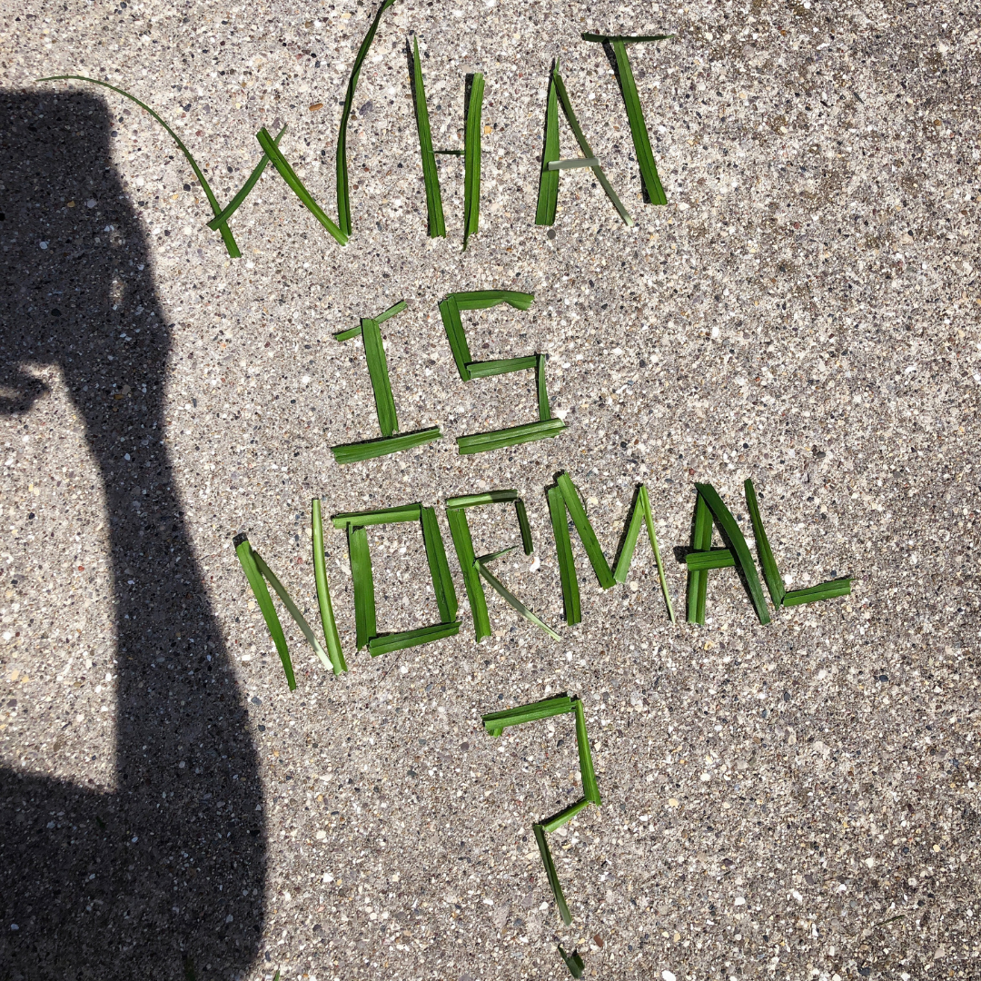 thin green leaves on a sidewalk spell out the question: What is normal? Also visible is the shadow of a hand holding a phone to take a photo of the words.