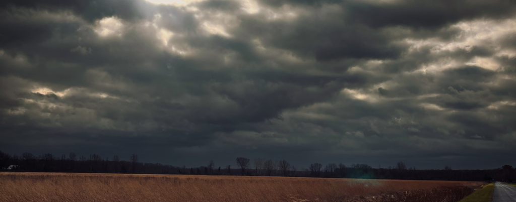 a dark, overcast sky with heavy clouds, casting a moody atmosphere over a field of tall grass