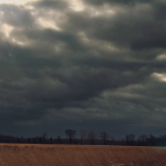 a dark, overcast sky with heavy clouds, casting a moody atmosphere over a field of tall grass