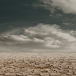 A desolate desert landscape with cracked, dry earth extending into the distance under a dramatic, cloudy sky. A single, gnarled, leafless tree stands on the right side