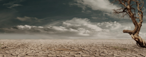A desolate desert landscape with cracked, dry earth extending into the distance under a dramatic, cloudy sky. A single, gnarled, leafless tree stands on the right side