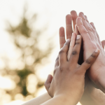 a group of people giving each other a high five; only their hands are visible