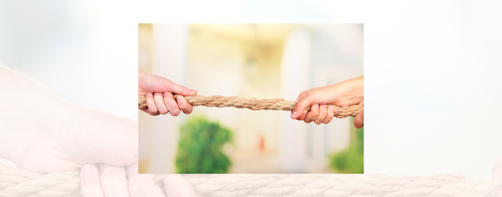 Tug of War, on Bright Background