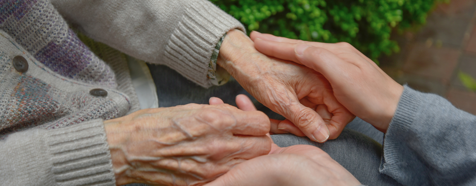 Read more about the article Does Dementia Diminish the Image of God?