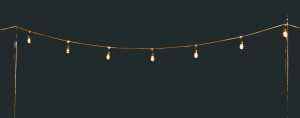 lights strung between poles on a dark night